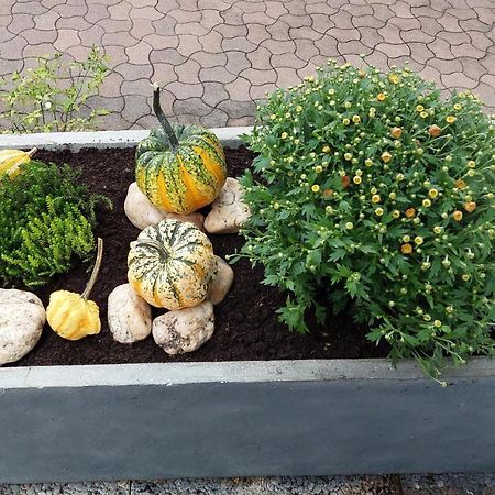 Ferienwohnung "Auszeit" Hofheim in Unterfranken Екстер'єр фото